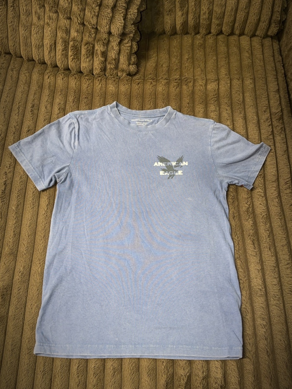 American Eagle Outfitters Light Blue Crew Neck Graphic Tee